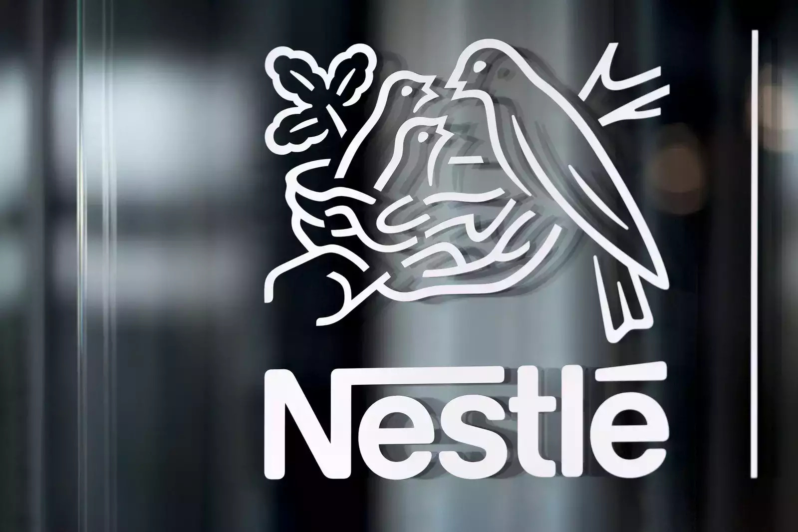 Nestle India, A Leader in Consumer Packaged Goods, was Inaugurated on Wednesday.
