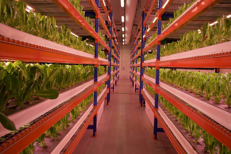 Emirates set to provide world’s largest vertical farm