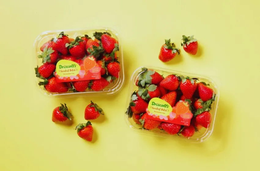 Driscoll’s Sweetest Batch Strawberries Are Back for the Summer!