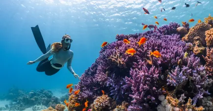 Discover Uncharted Depths: Dive into Paradise at Centara Ras Fushi and Centara Grand Island Resorts Maldives