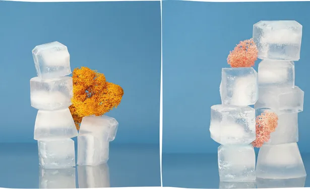 Decoding the Art of Choosing the Perfect Ice Cuber