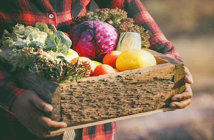 From Garlic to Parsley: The Herbs and Spices Australians Love Most