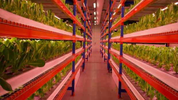 Emirates set to provide world’s largest vertical farm