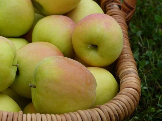 After a good harvest, the Middle East market will get luscious European apples.